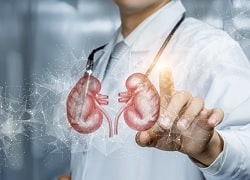 Болезни почек – диагностика и лечение в Клинике Медитон на Филатова
